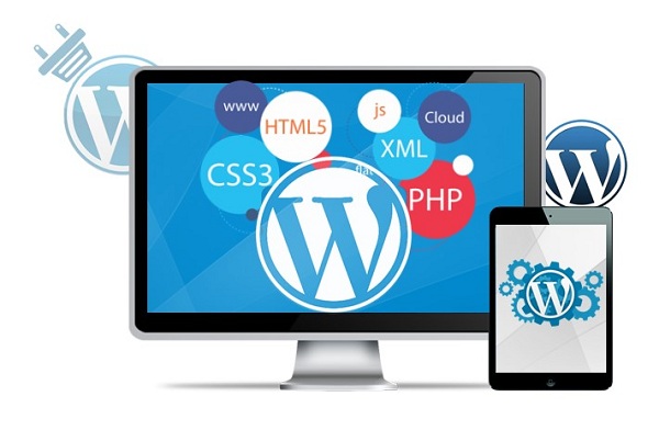 Tổng quan về website WordPress